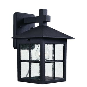 Ormonde 1-Light Outdoor Wall Lantern