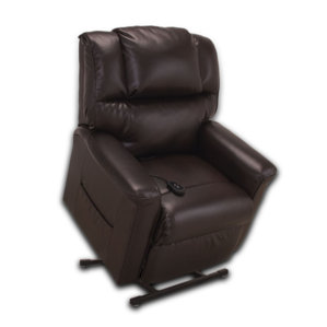 Trinity Power Lift Assist Recliner by ..
