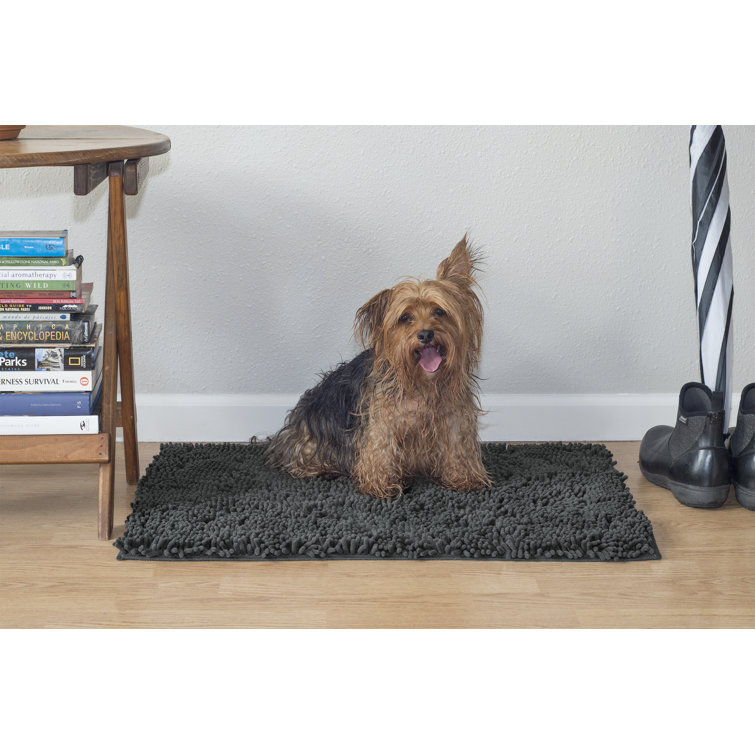 absorbent pet mat