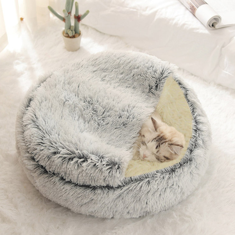 wayfair cat beds