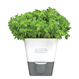 Vertical Indoor Herb Garden Wayfair Indoor Herb Garden Self Watering Carbon Steel Pot Planter