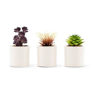 19cm Imitation Replica Succulents 2 x Agave Cacti 7.5/" - Artificial Plants