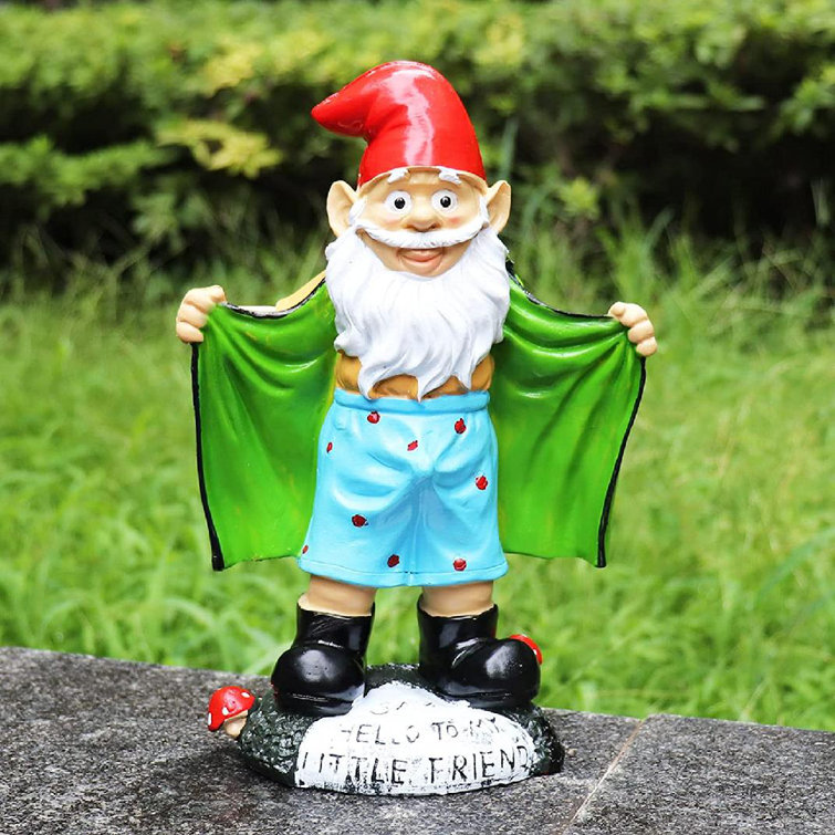Resin Garden Gnomes,Garden Gnome Statue Naughty Gnome Ornament Resin Craft Garden Figurines for Outdoor Garden Tabletop Yard Decorations Style# 01 Resin Garden Gnomes,Garden Gnome Statue Naughty Gnome Ornament Resin Craft Garden Figurines for Outdoor Garden Tabletop Yard Decorations Style# 01