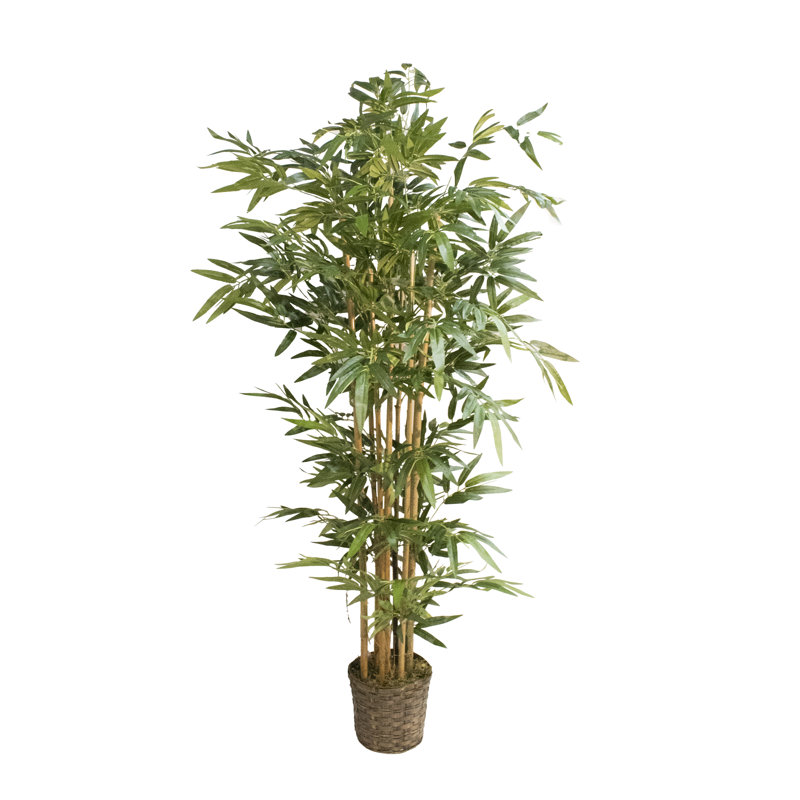 72" Tall High End Realistic Silk Bamboo Tree in Basket