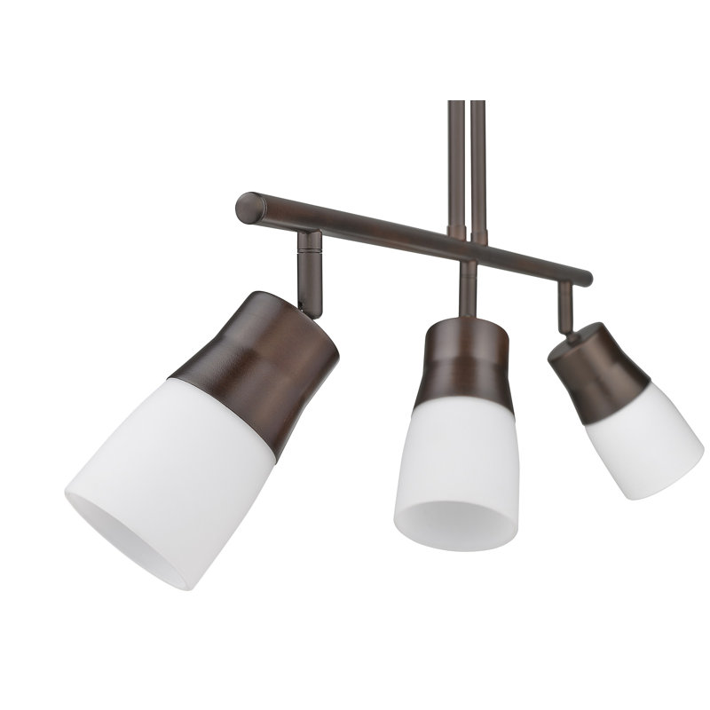 30.5'' 3 -Light Rail Track Kit with Adjustable Head