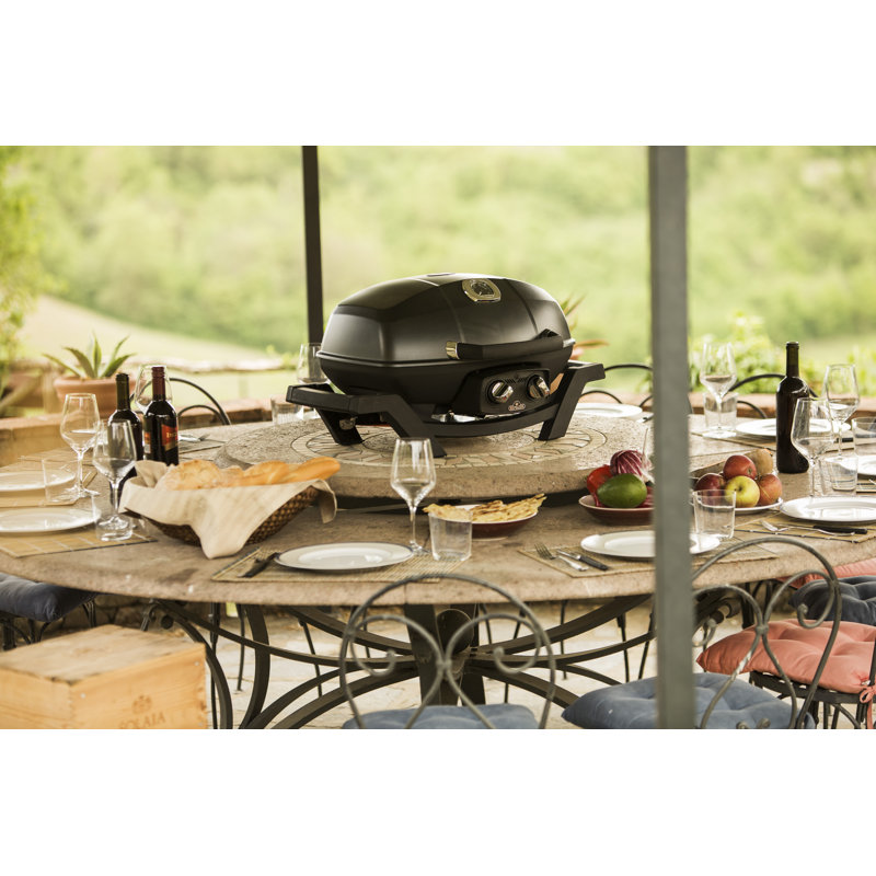 Napoleon TravelQ PRO285 Portable Natural Gas Grill, Black