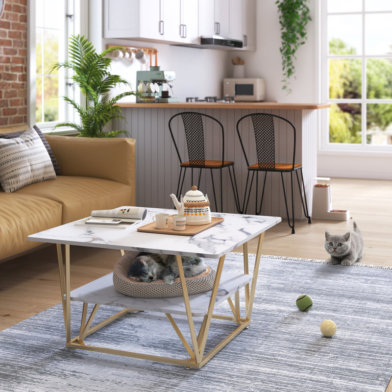 Carabella Floor Shelf Square Coffee Table with Storage