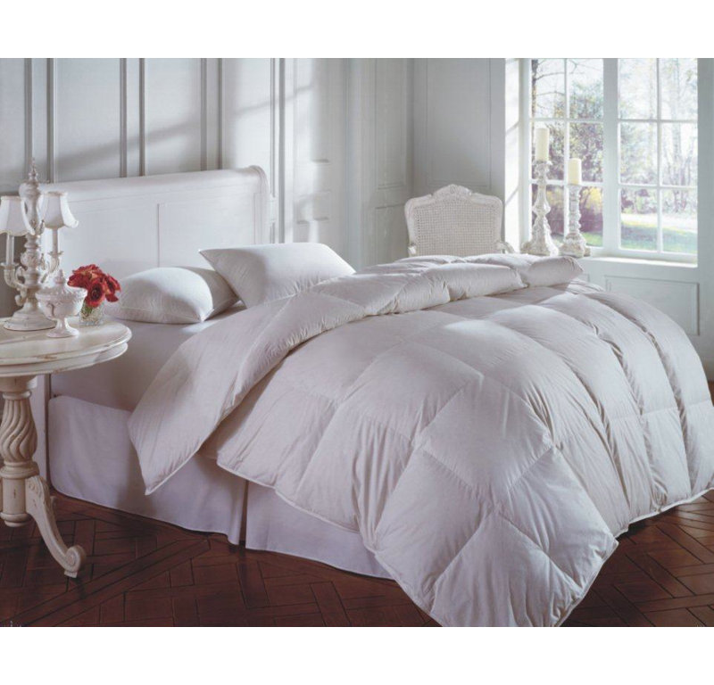 Hidalgo Down Firm Pillow