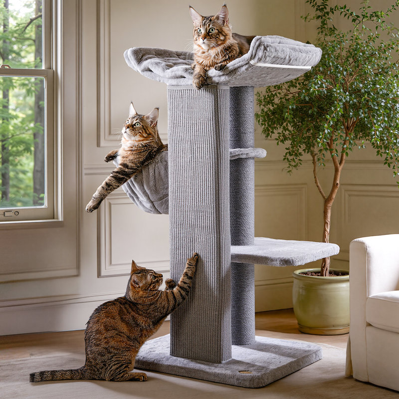 Modern 44.5"H Multi-Function Cat Tree for Big Cats&MaineCoon