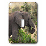 Elephant Light Switch Cover Wayfair