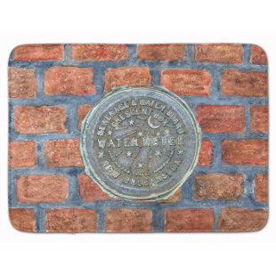 Brick Colored Bathroom Rugs Wayfair