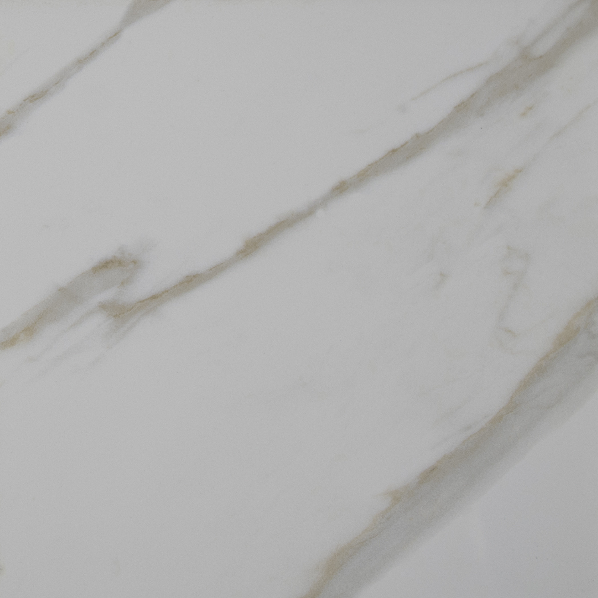 Msi Pietra Calacatta 18 X Porcelain Field Tile In White Msi Pietra Calacatta 18 X Porcelain Field Tile In White Reviews Wayfair
