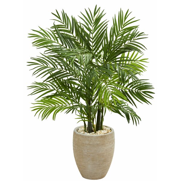 Bay Isle Home 48'' Artificial Palm Tree in Planter & Reviews | Wayfair