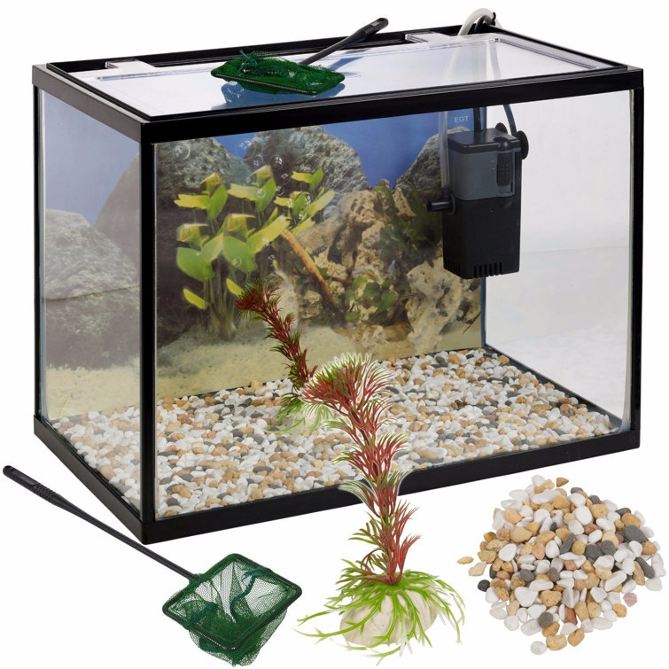 starter aquarium