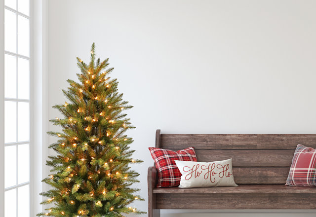 Christmas Trees for Less