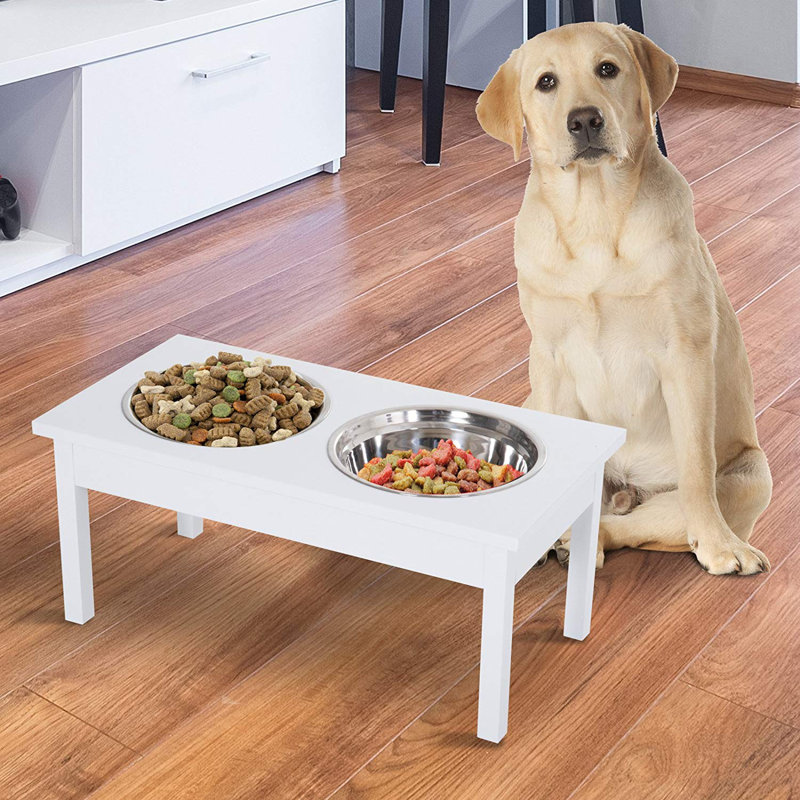 retriever feeding station