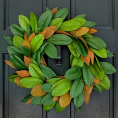 Magnolia Wreaths You Ll Love In 2021 Wayfair Ca