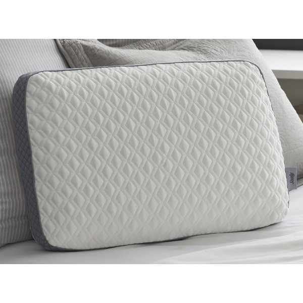Sealy Medium Memory Foam 16 X 24 Bed Pillow Reviews Wayfair