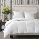 California King Down Comforters Duvet Inserts You Ll Love In 2020 Wayfair