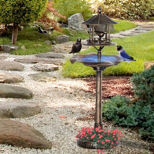 Bird Bath Outdoor Garden Decor Birdbath Feeder Yard Bowl Ceramic Feeding Basin