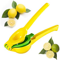 Lemon And Lime Kitchen Decor | Wayfair