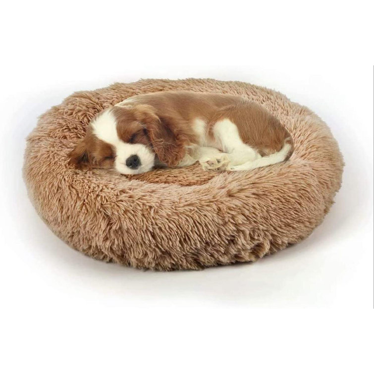 donut calming bed