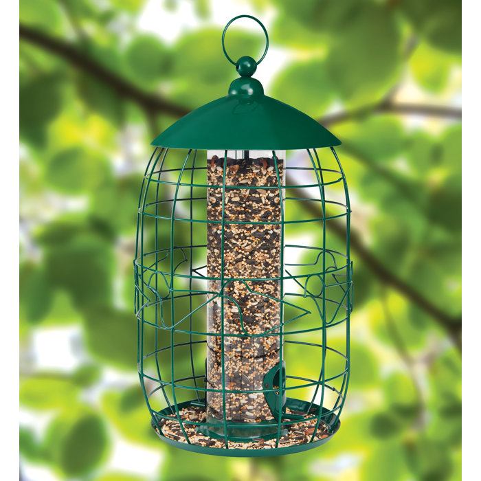 North States Squirrel Free Tube Bird Feeder Wayfair Ca