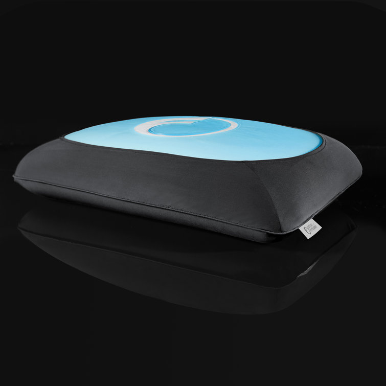 memory foam & hydraluxe cooling bed pillow