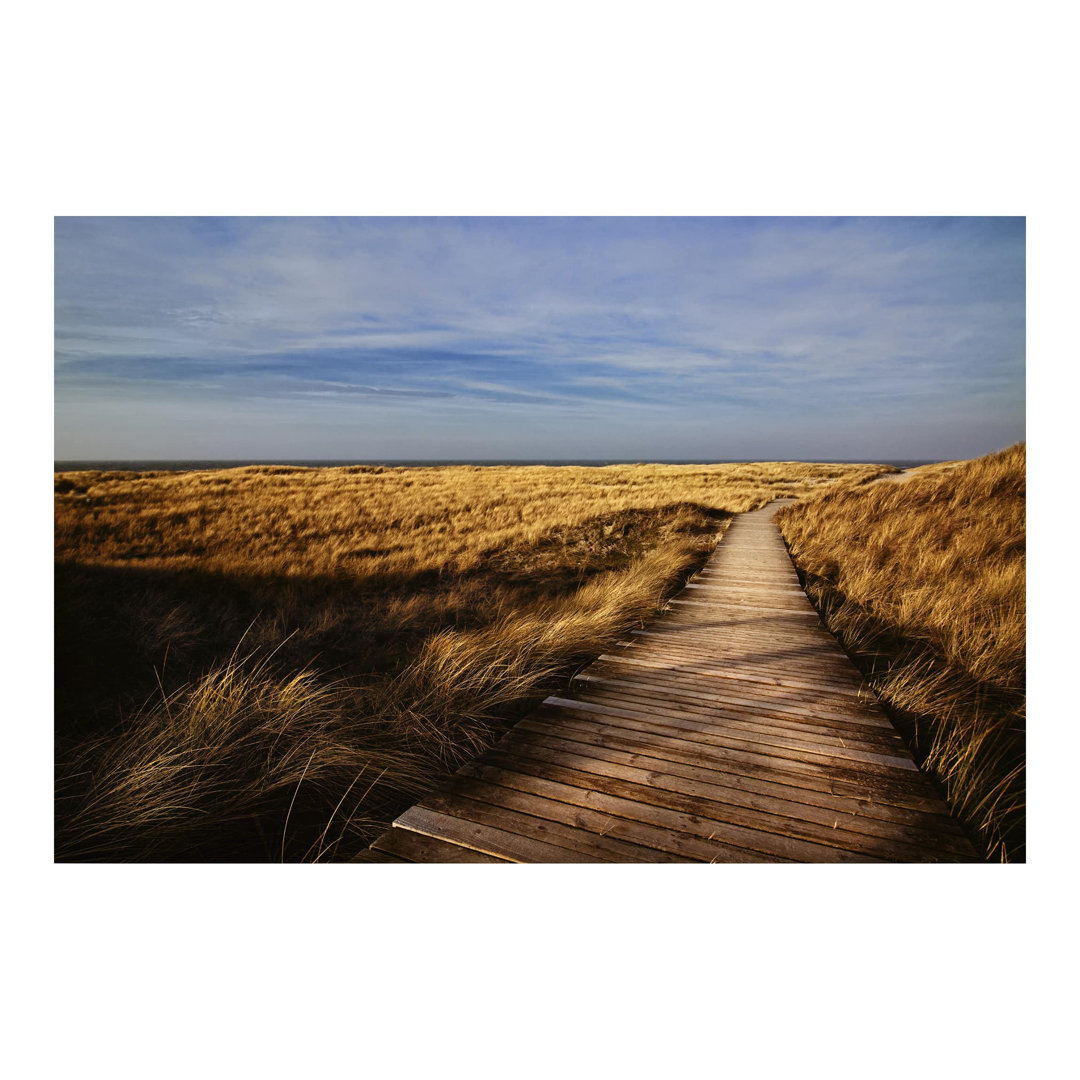 Dune Path on Sylt 3.2m x 4.8m Textured Matte Peel & Stick Wall Mural