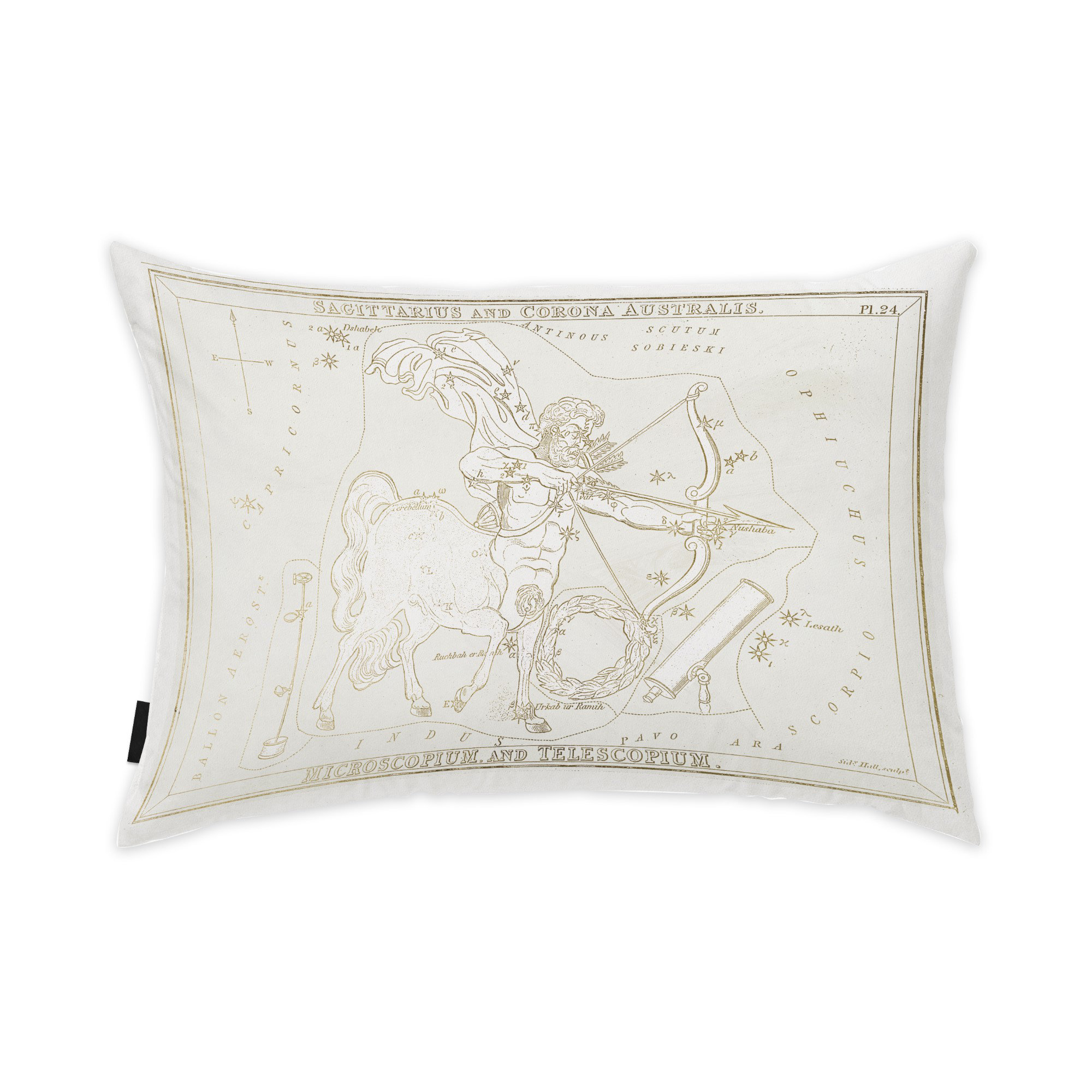 Trinx Zodiac Rectangular Pillow Cover & Insert Wayfair
