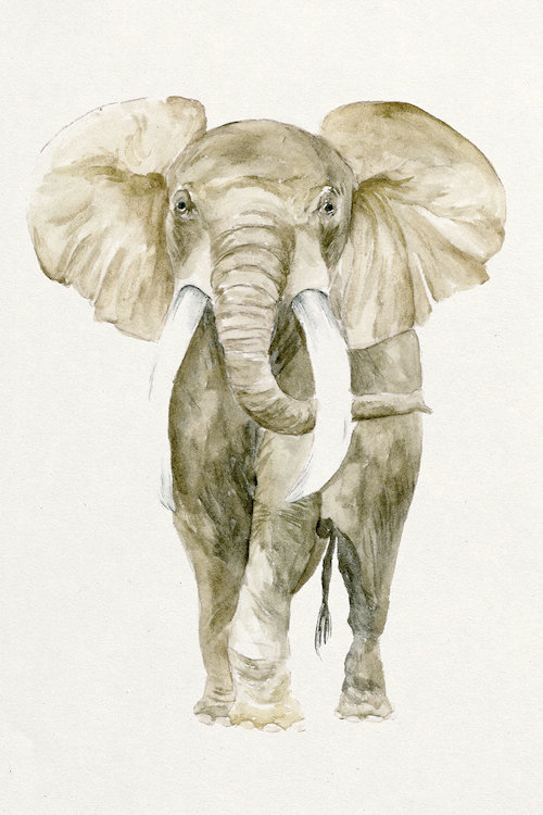 East Urban Home Baby Elephant I Watercolor Painting Print On
