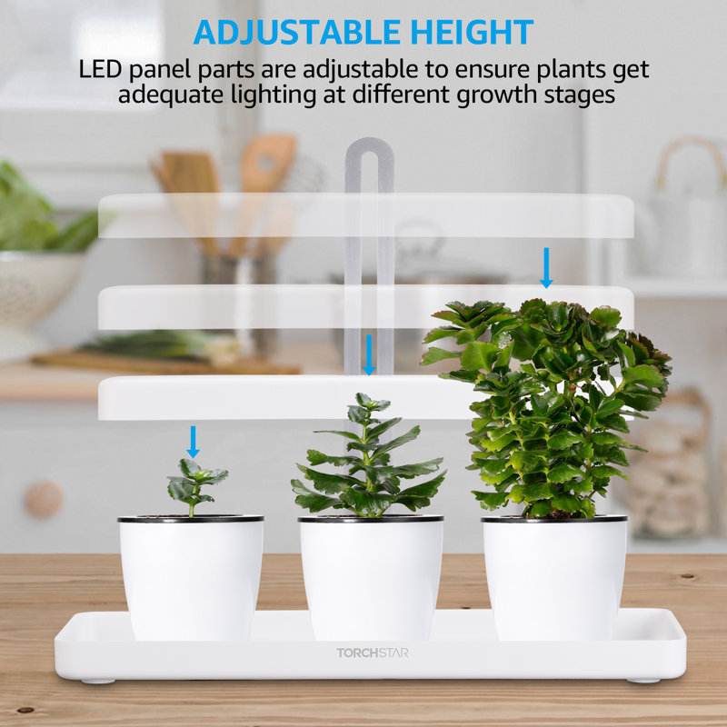 Torchstar Garden Kit Herb And Kitchen Garden Grow Light Reviews