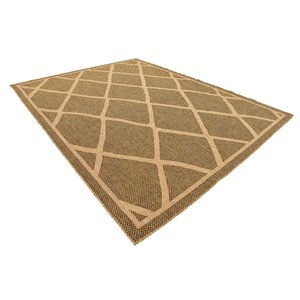 Thibodeau Brown Outdoor Area Rug