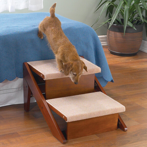 Petsfit 2-Steps Portable Pet Stairs with House Inside 