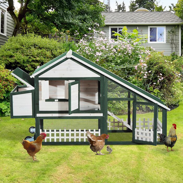 Wooden Chicken Coop With Run