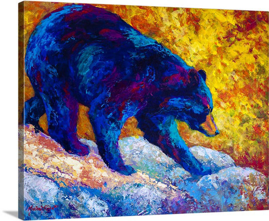 Canvas On Demand Tentative Step Black Bear By Marion Rose