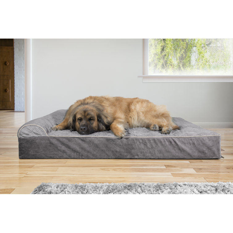 large dog chaise lounge