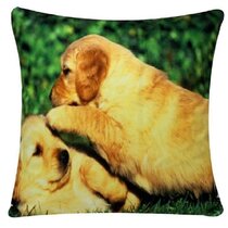 Friendship Loving Meerkat Picture Chenille Cotton 17 x 17 Cushion Cover Sofa Bed 