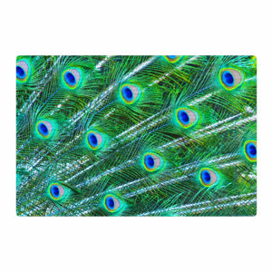 Susan Sanders Peacock Feathers Photograph Teal/Blue Area Rug