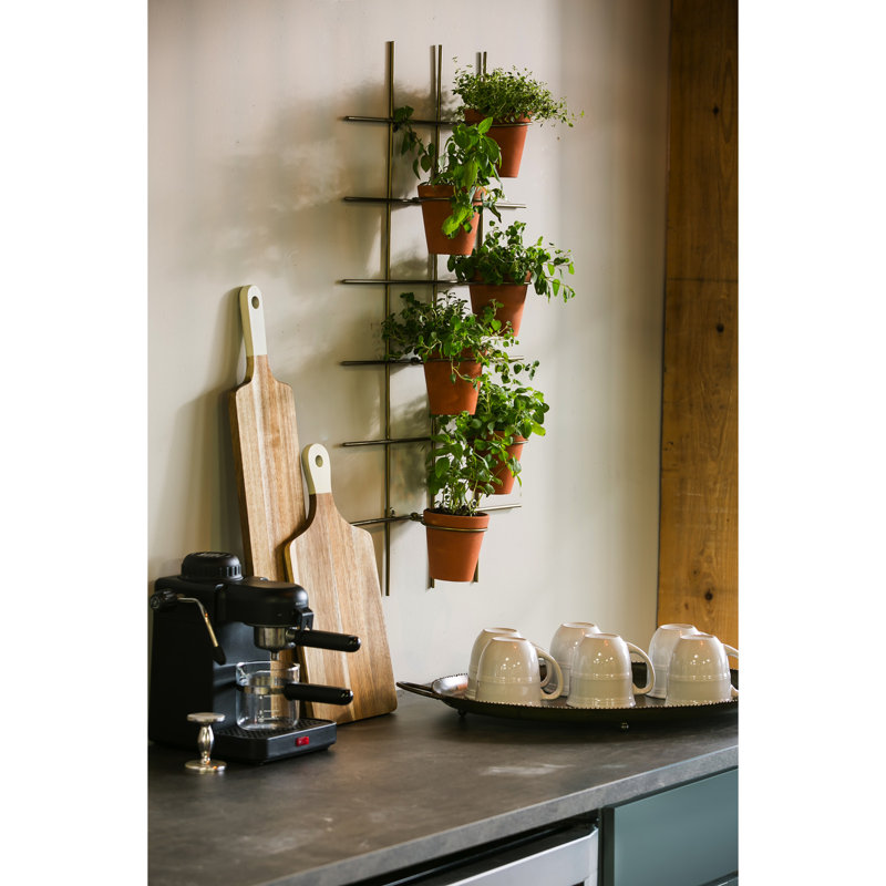 Wrought Studio Metal Terra Cotta Wall Pot Holder Holds 6 Pots