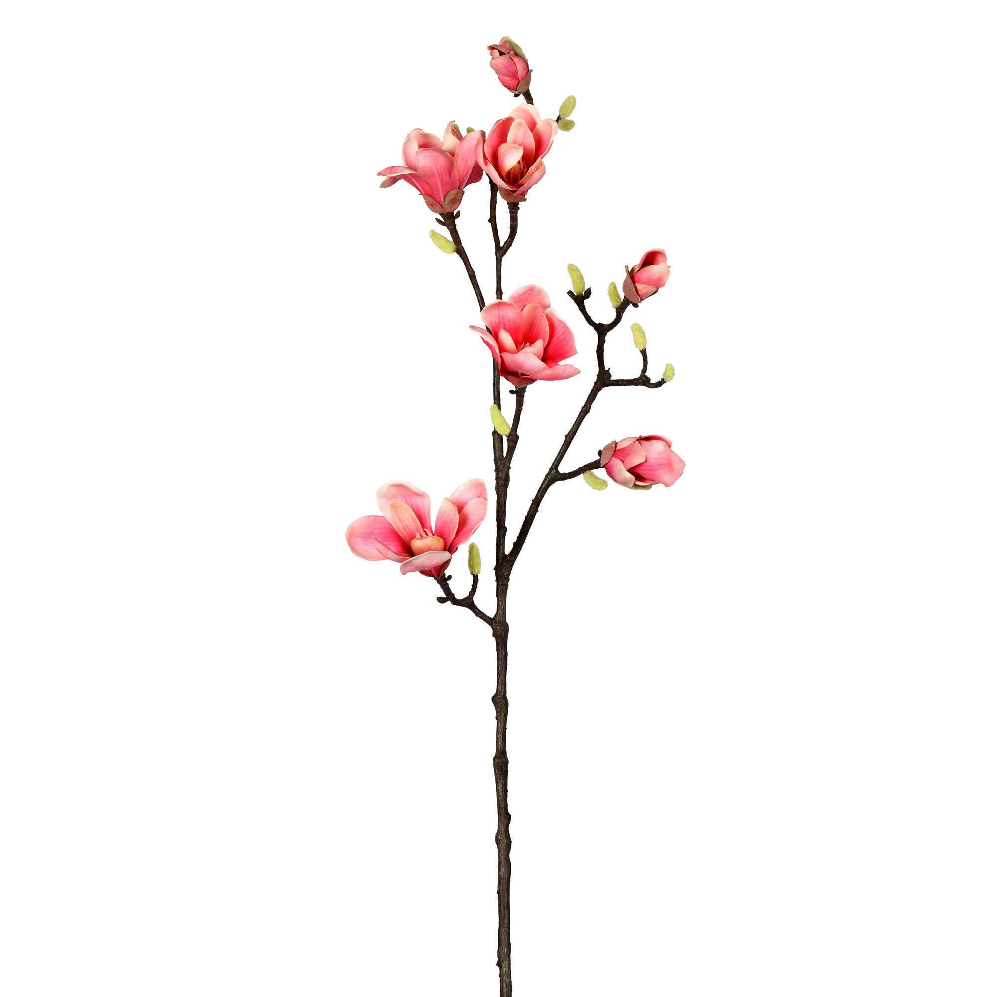 Rosdorf Park 38" Artificial Magnolia Stem Wayfair