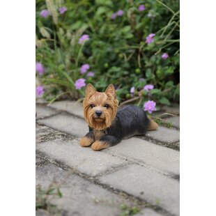 Garden Pot Pal Hanging Yorkshire Terrier Yorkie Puppy Dog Statue With Glass Eyes 