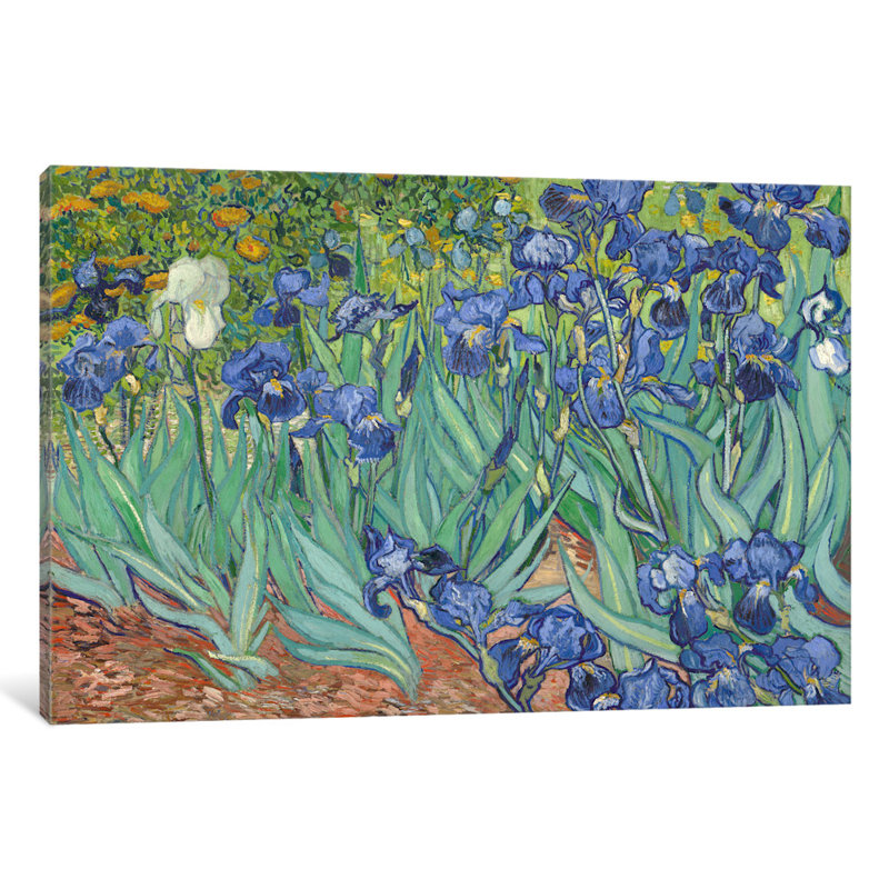 Vault W Artwork Irises 1889 By Vincent Van Gogh Painting Print On Wrapped Canvas Wayfair