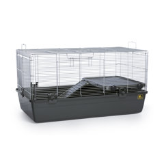 simple hamster cage