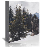 Winter Scene Framed Art Wayfair