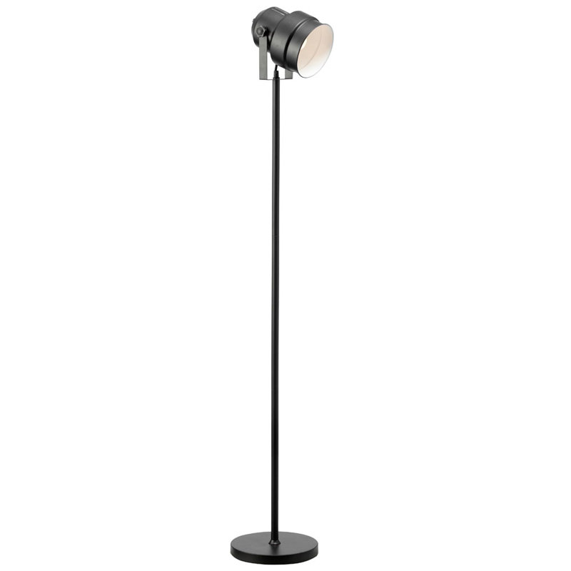 Trule Teen Adkins 56 Task Floor Lamp Reviews Wayfair