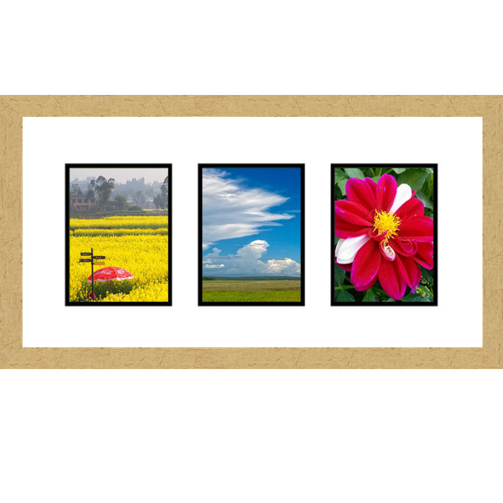 Frames By Mail Collage Picture Frame Wayfair