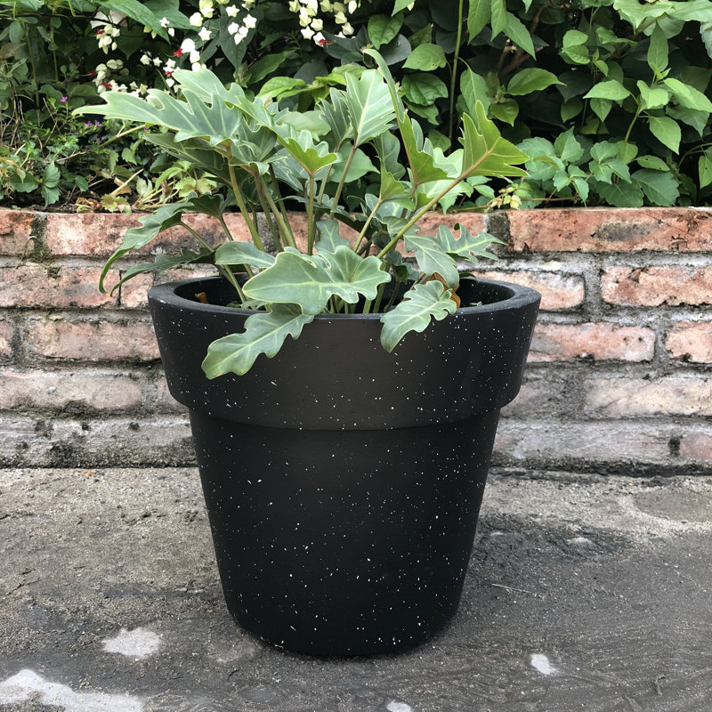Charlton Home Nikhil Stackable Concrete Pot Planter Wayfair