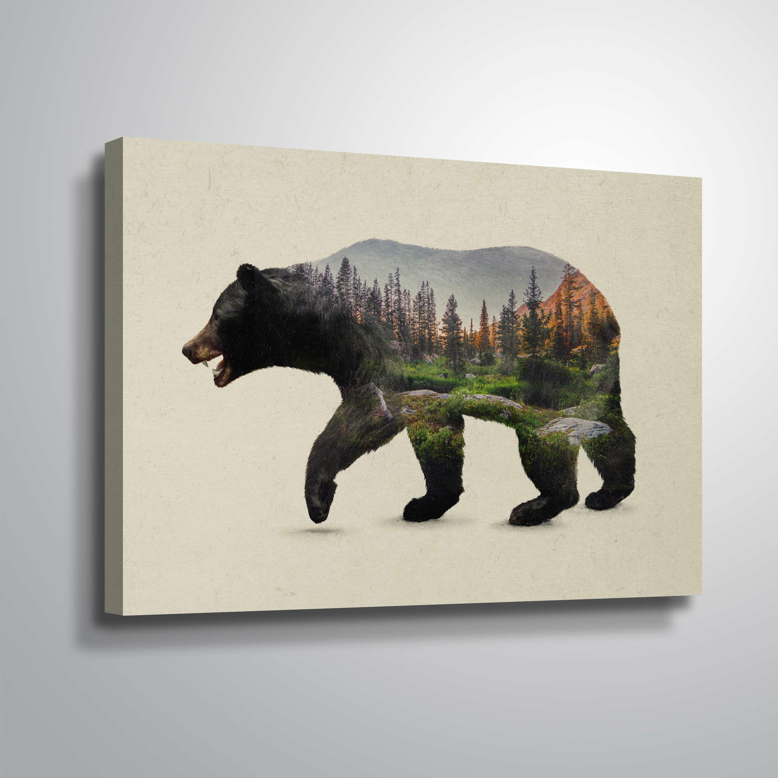 Ebern Designs The North American Black Bear - Print on Canvas & Reviews ...