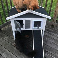 30 hallett insulated cat condo